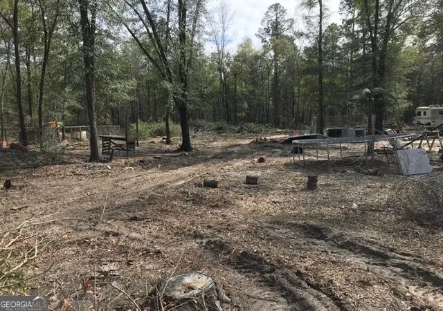 9th image of 335 Allen Chapel Rd, Waynesboro, GA 30830 | MLS# 10824683