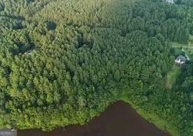 Land for sale at Lot B Brush Crk Rd, Colbert, GA 30628 | MLS# 10818766
