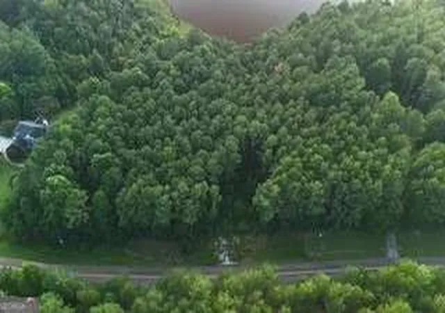 Photo 1 of Land for sale at Lot B Brush Crk Rd, Colbert, GA 30628 | MLS# 10818766 | Listing updated on 2026-08-18