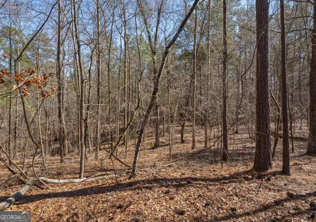 Photo 2 of Land for sale at 0 Kent Rock Rd, Loganville, GA 30052 | MLS# 10669364 | Listing updated on 2026-07-17