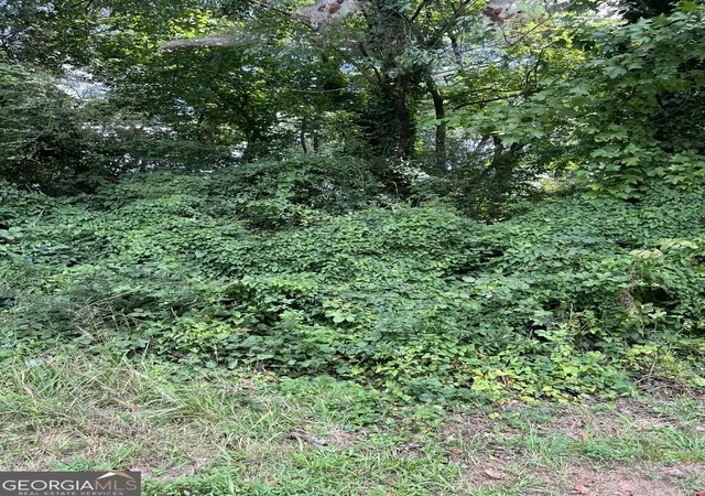1st image of 238 Canton St, Canton, GA 30114 | MLS# 10825972
