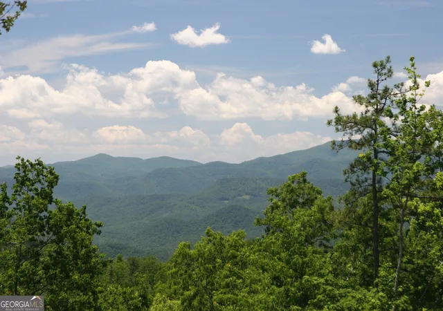 5th image of Lot 29 Tex Hill Ter, Clayton, GA 30525 | MLS# 10782149