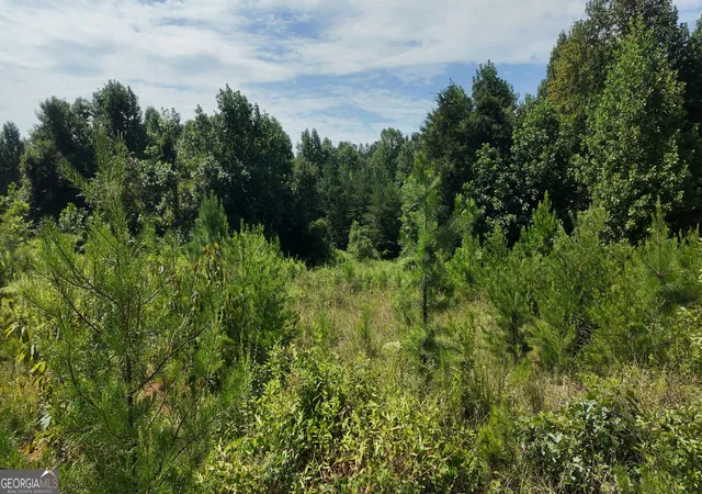 Photo 3 of Sale Pending at 108 Ac Cody Rd, Mount Airy, GA 30563 | MLS# 10823843 | Listing updated on 2026-10-01
