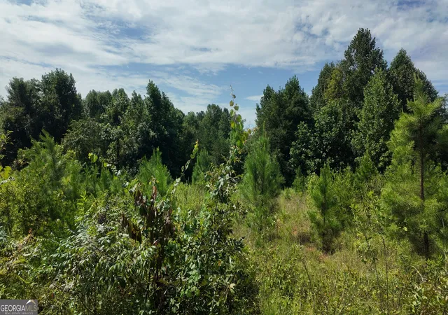 Photo 3 of Sale Pending at 108 Ac Cody Rd, Mount Airy, GA 30563 | MLS# 10823843 | Listing updated on 2026-10-01
