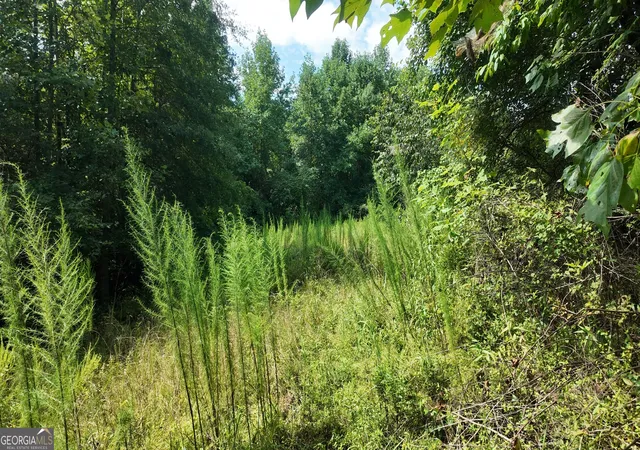 Photo 4 of Sale Pending at 108 Ac Cody Rd, Mount Airy, GA 30563 | MLS# 10823843 | Listing updated on 2026-10-01
