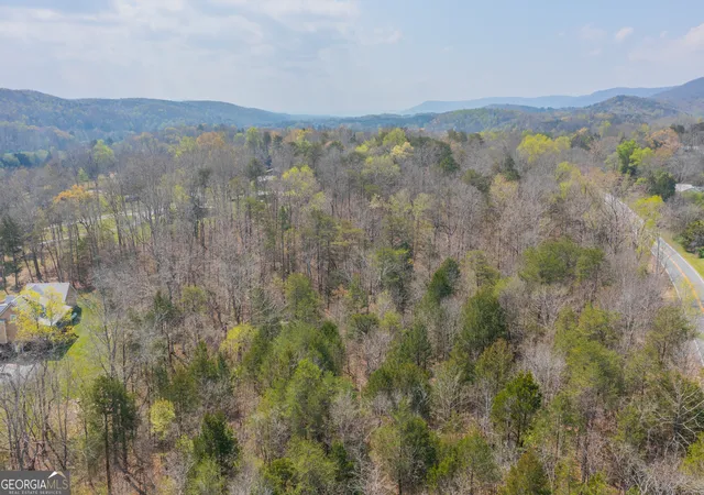Homes for sale in Chickamauga, GA | 1007 Kendricks Switch Rd #TRACT 2, Chickamauga, GA 30707 | MLS# 10725492