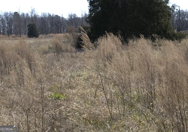 2nd image of 0 Nancy Hart School Rd, Hartwell, GA 30643 | MLS# 10688409