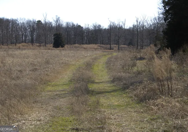 Photo 3 of Land for sale at 0 Nancy Hart School Rd, Hartwell, GA 30643 | MLS# 10688409 | Listing updated on 2026-07-27