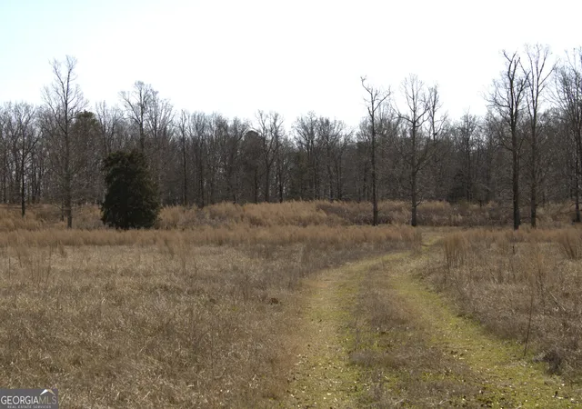 Photo 4 of Land for sale at 0 Nancy Hart School Rd, Hartwell, GA 30643 | MLS# 10688409 | Listing updated on 2026-07-27