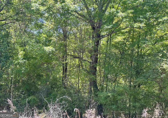 Photo 1 of Land for sale at 393 & 381 Old Conyers Rd, Stockbridge, GA 30281 | MLS# 10574661 | Listing updated on 2026-09-29