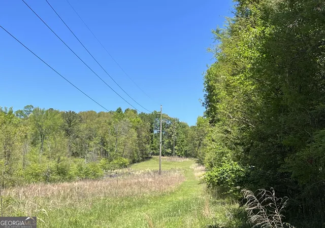 Photo 2 of Land for sale at 393 & 381 Old Conyers Rd, Stockbridge, GA 30281 | MLS# 10574661 | Listing updated on 2026-09-29