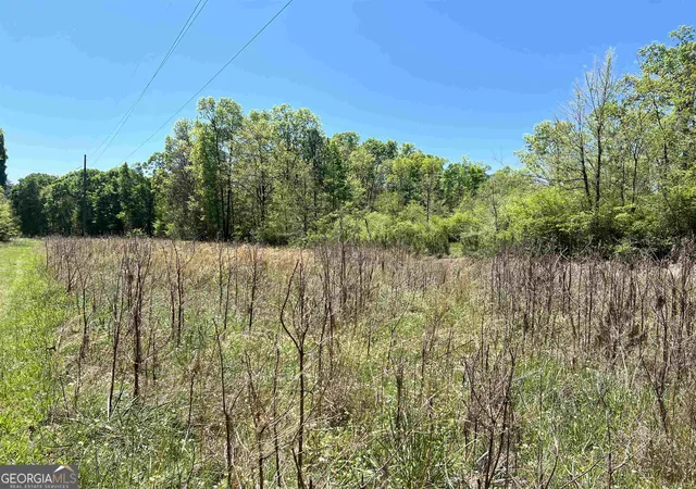 Photo 3 of Land for sale at 393 & 381 Old Conyers Rd, Stockbridge, GA 30281 | MLS# 10574661 | Listing updated on 2026-09-29