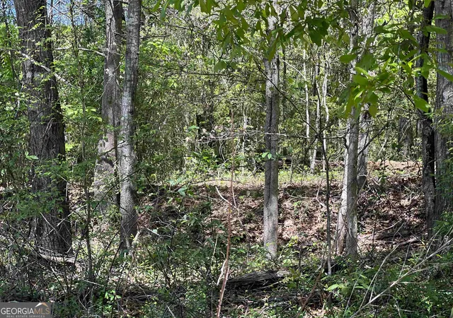 Photo 4 of Land for sale at 393 & 381 Old Conyers Rd, Stockbridge, GA 30281 | MLS# 10574661 | Listing updated on 2026-09-29