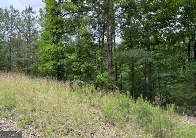 Photo 3 of Land for sale at Lot 51 Bramlett Cr, Elberton, GA 30635 | MLS# 10763838 | Listing updated on 2026-05-27