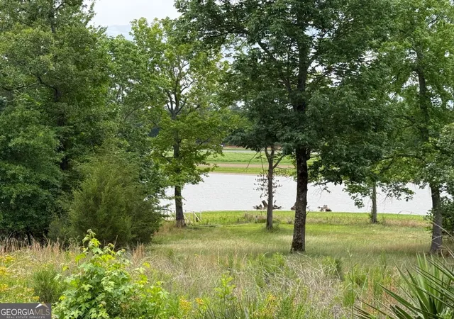 Photo 4 of Land for sale at Lot 51 Bramlett Cr, Elberton, GA 30635 | MLS# 10763838 | Listing updated on 2026-05-27