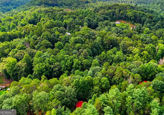39th image of 204 Dover Chapel Ter, Ellijay, GA 30540 | MLS# 10795037