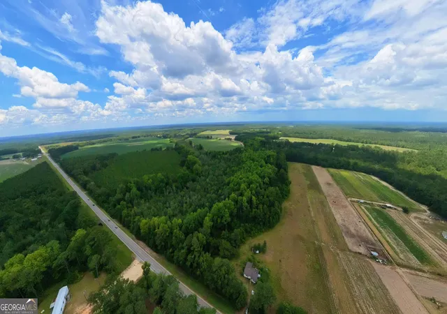 19th image of 10600 Us Hwy 80 E, Brooklet, GA 30415 | MLS# 10808614
