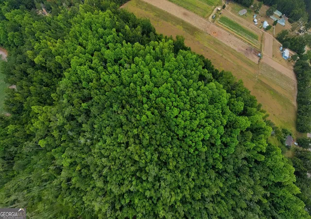 1st image of 10600 Us Hwy 80 E, Brooklet, GA 30415 | MLS# 10808614