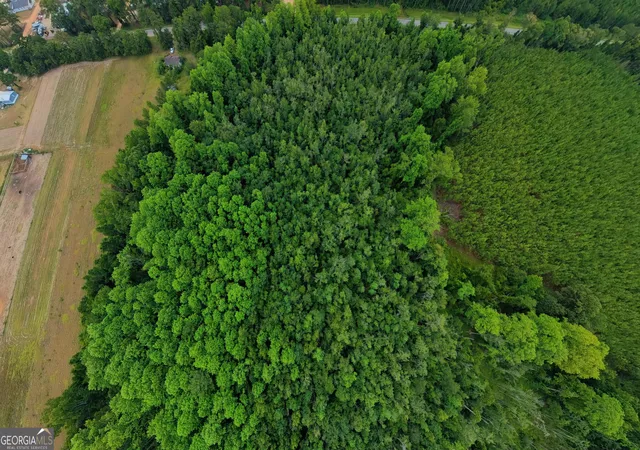 3rd image of 10600 US Hwy 80 E, Brooklet, GA 30415 | MLS# 10808614