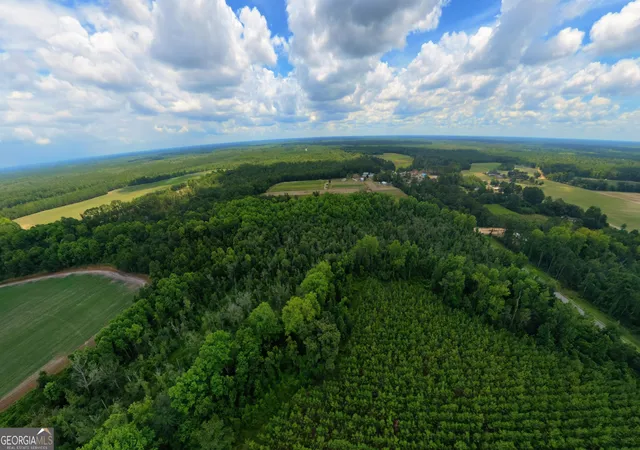 5th image of 10600 US Hwy 80 E, Brooklet, GA 30415 | MLS# 10808614