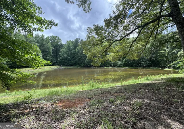 Homes for sale in Forsyth, GA | 3413 Dames Ferry Rd, Forsyth, GA 31029 | MLS# 10787687