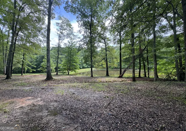 Homes for sale in Forsyth, GA | 3413 Dames Ferry Rd, Forsyth, GA 31029 | MLS# 10787687