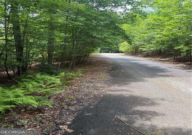 17th image of 13 Pinnacle Ct, Blairsville, GA 30512 | MLS# 10807162