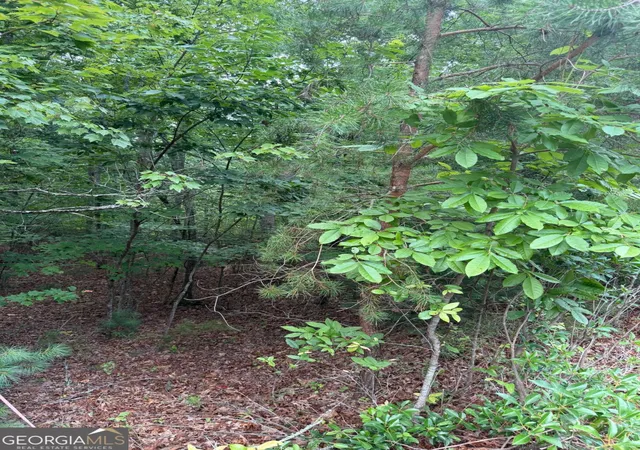 2nd image of 13 Pinnacle Ct, Blairsville, GA 30512 | MLS# 10807162