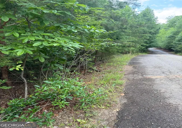3rd image of 13 Pinnacle Ct, Blairsville, GA 30512 | MLS# 10807162
