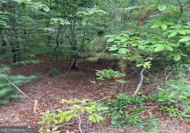4th image of 13 Pinnacle Ct, Blairsville, GA 30512 | MLS# 10807162