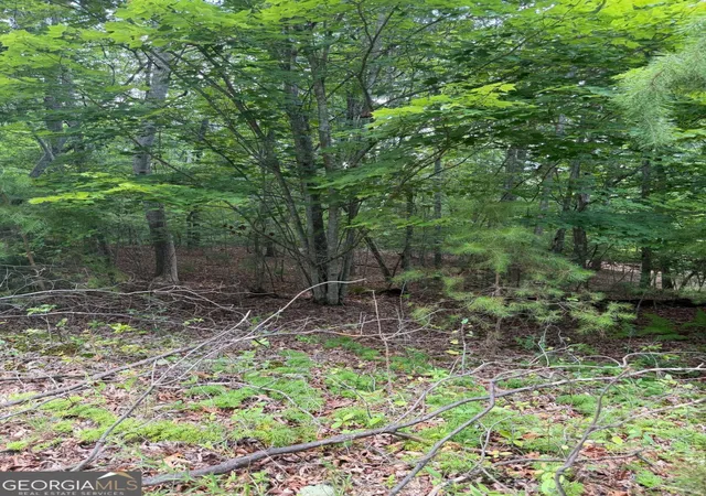 5th image of 13 Pinnacle Ct, Blairsville, GA 30512 | MLS# 10807162