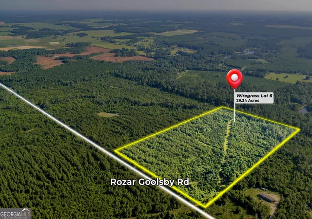 21st image of 6 Rozar Goolsby Rd, Eastman, GA 31023 | MLS# 10800656