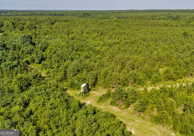 3rd image of 6 Rozar Goolsby Rd, Eastman, GA 31023 | MLS# 10800656