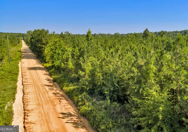 4th image of 6 Rozar Goolsby Rd, Eastman, GA 31023 | MLS# 10800656