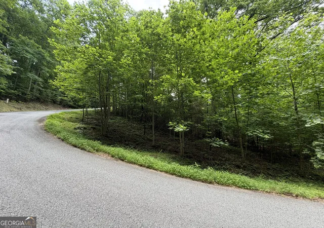 Photo 1 of Land for sale at Lot 19 Ml Ridge Rd, Hiawassee, GA 30546 | MLS# 10790788 | Listing updated on 2026-08-31