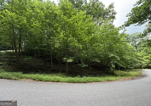 Photo 3 of Land for sale at Lot 19 Ml Ridge Rd, Hiawassee, GA 30546 | MLS# 10790788 | Listing updated on 2026-08-31