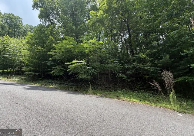 Photo 3 of Land for sale at Lot 19 Ml Ridge Rd, Hiawassee, GA 30546 | MLS# 10790788 | Listing updated on 2026-08-31