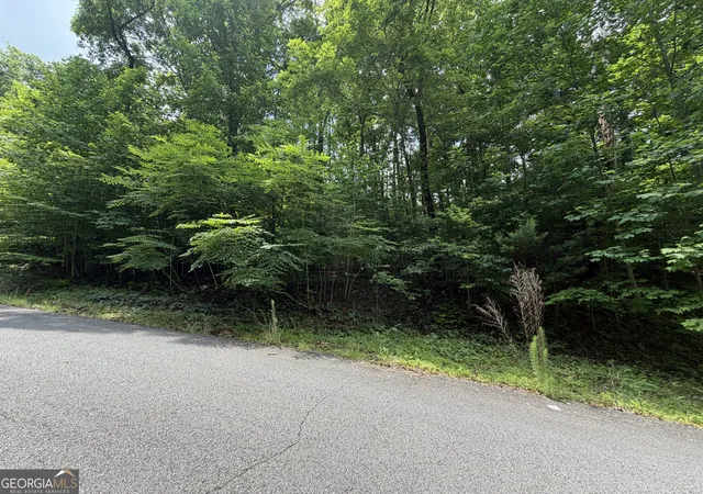 Photo 4 of Land for sale at Lot 19 Ml Ridge Rd, Hiawassee, GA 30546 | MLS# 10790788 | Listing updated on 2026-08-31