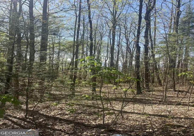 Photo 2 of Land for sale at 0 Happy Hill, Scaly Mtn, NC 28775 | MLS# 10736718 | Listing updated on 2026-08-29