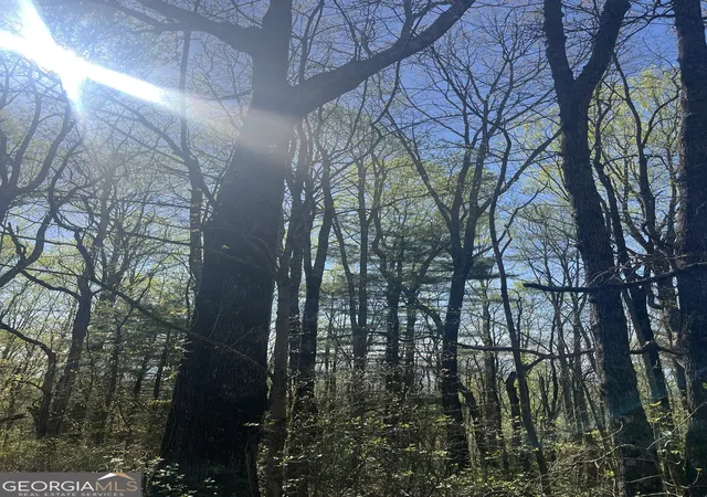 Photo 3 of Land for sale at 0 Happy Hill, Scaly Mtn, NC 28775 | MLS# 10736718 | Listing updated on 2026-08-29