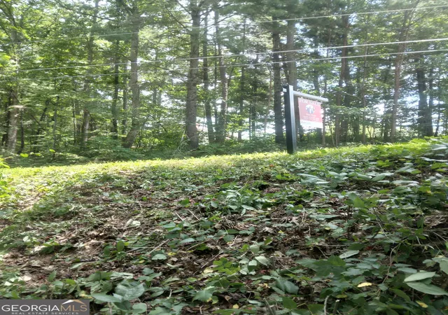 Photo 1 of Sale Pending at 0 Hidden, Jasper, GA 30143 | MLS# 10555951 | Listing updated on 2026-03-02