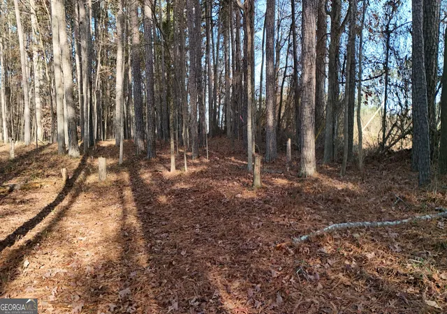 image of 5158 W Holiday Ct Se, Acworth, GA 30102 | MLS# 10736344