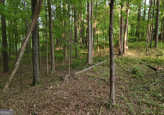 Photo 3 of Land for sale at 5158 W Holiday Ct Se, Acworth, GA 30102 | MLS# 10736344 | Listing updated on 2026-08-28