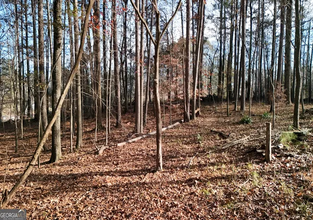 image of 5158 W Holiday Ct Se, Acworth, GA 30102 | MLS# 10736344