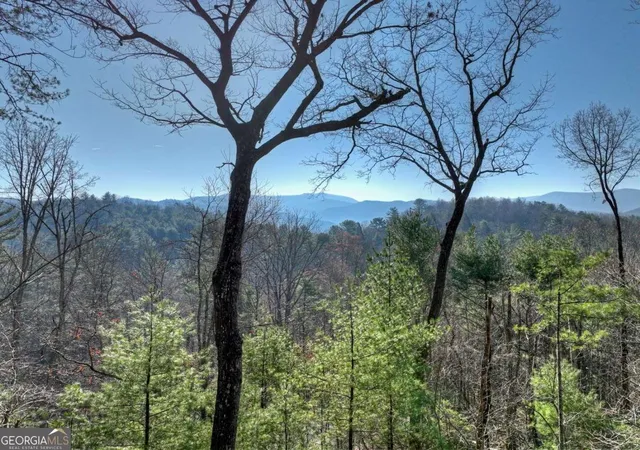 4th image of 1183 Bear Paw Trl, Blue Ridge, GA 30513 | MLS# 10722685