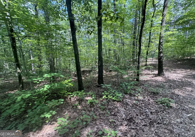 1st image of 2996 Stokes Store Rd, Forsyth, GA 31029 | MLS# 10830905