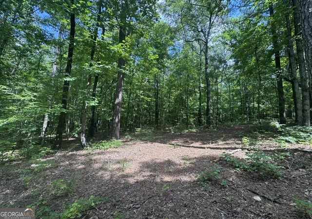 Photo 3 of Sale Pending at 2996 Stokes Store Rd, Forsyth, GA 31029 | MLS# 10830905 | Listing updated on 2026-08-26