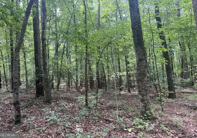 4th image of 2996 Stokes Store Rd, Forsyth, GA 31029 | MLS# 10830905