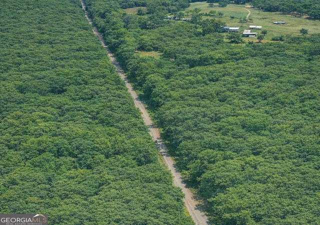 13th image of 204 Acres Holmestown Loop Rd, Midway, GA 31320 | MLS# 10800023