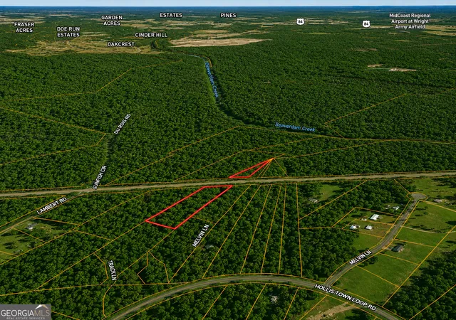 1st image of 204 Acres Holmestown Loop Rd, Midway, GA 31320 | MLS# 10800023